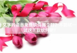文字转语音免费软件哪个好？不妨试一试这三款软件吧！