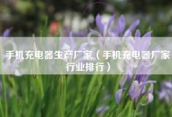 手机充电器生产厂家（手机充电器厂家行业排行）