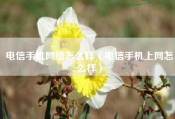 电信手机网络怎么样（电信手机上网怎么样）