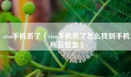 vivo手机丢了（vivo手机丢了怎么找到手机所在位置）