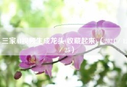 三家AI视频生成龙头(收藏起来)（2024／12／25）