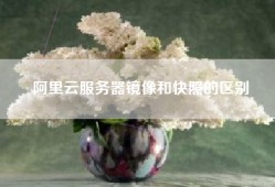 阿里云服务器镜像和快照的区别