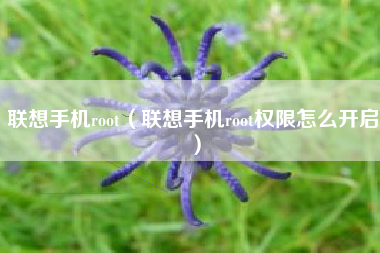 联想手机root（联想手机root权限怎么开启）