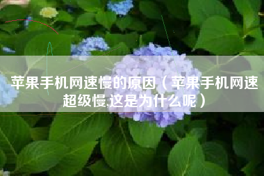 苹果手机网速慢的原因（苹果手机网速超级慢,这是为什么呢）