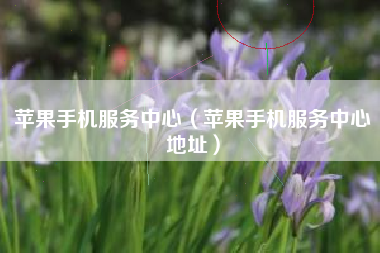 苹果手机服务中心（苹果手机服务中心地址）